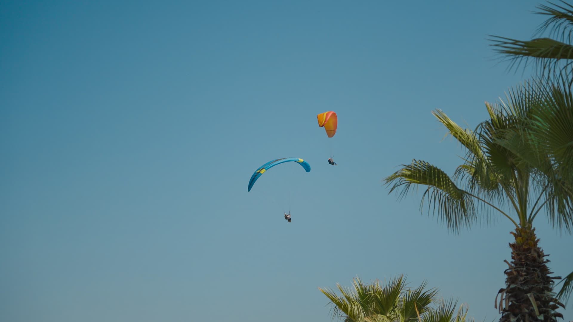 Distant view of paragliders